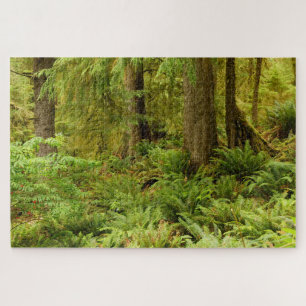 Puzzle Forêt luxuriante et fougères   Ecola State Park, O