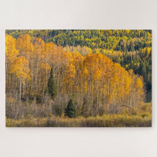 Puzzle Forêt nationale de Gunnison (Horizontal)