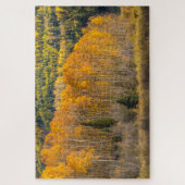 Puzzle Forêt nationale de Gunnison (Vertical)