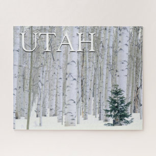 Puzzle Forêt nationale de Manti-LaSal, Utah