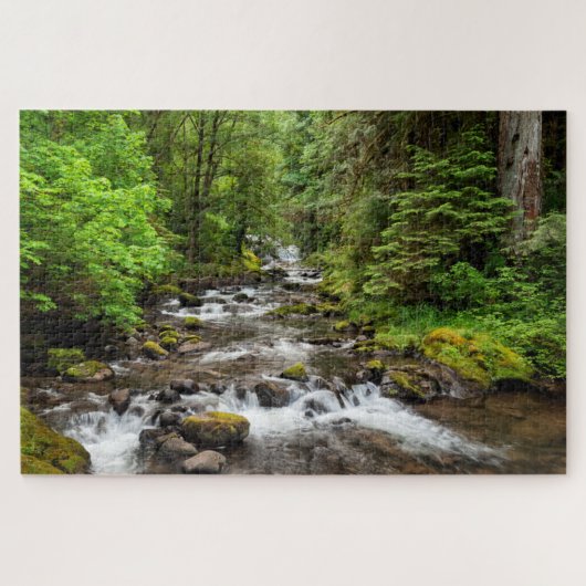 Puzzle Forêt nationale de Siuslaw | Sweet Creek (Horizontal)