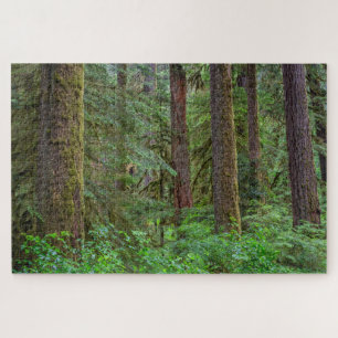 Puzzle Forêt nationale de Willamette   Oregon