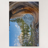 Puzzle Forêt nationale d'Inyo, Californie (Vertical)