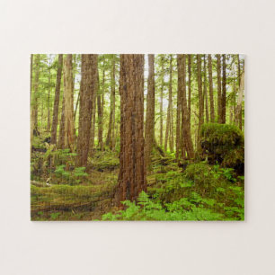 Puzzle Forêt pluviale tempérée d'Alaska