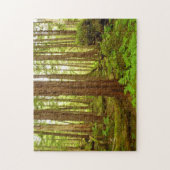 Puzzle Forêt pluviale tempérée d'Alaska (Vertical)