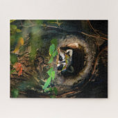 Puzzle Forêt | Raccoon Peeking (Horizontal)