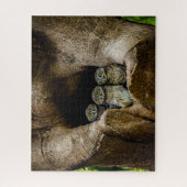 Puzzle Forêt | Trois Chouettes (Vertical)