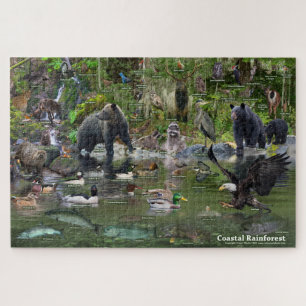 Puzzle Forêt tropicale côtière