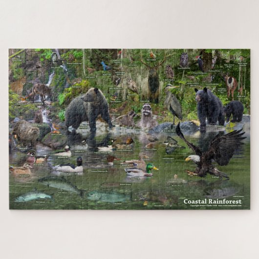 Puzzle Forêt tropicale côtière (Horizontal)