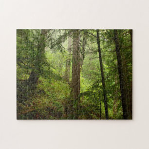 Puzzle Forêt tropicale dans le Parc National Olympique Ph