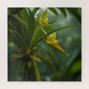 Puzzle Forêt tropicale de l'orchidée jaune
