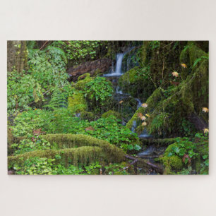 Puzzle Forêt tropicale humide d'automne Parc national O