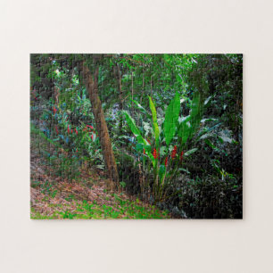 Puzzle Forêt tropicale humide Grenade Caraïbes.