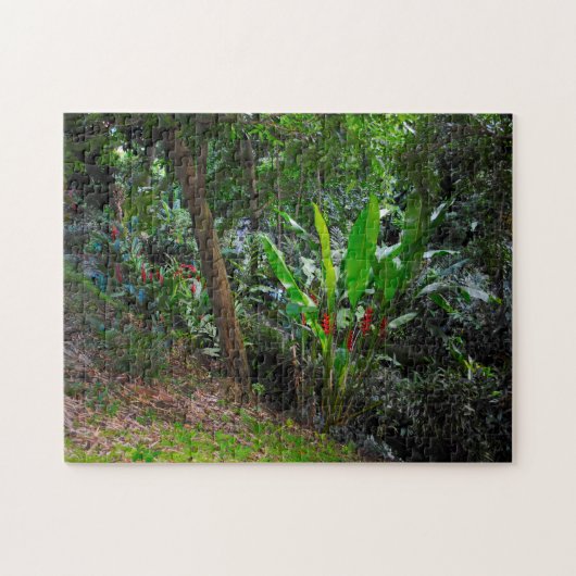 Puzzle Forêt tropicale humide Grenade Caraïbes. (Horizontal)