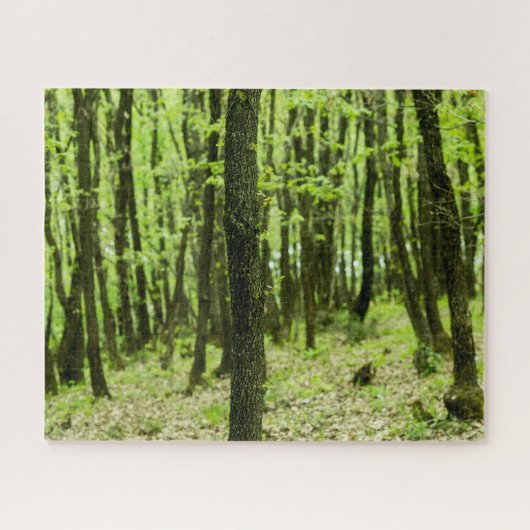 Puzzle Forêt verte (Horizontal)