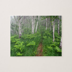 Puzzle Forêt verte luxuriante