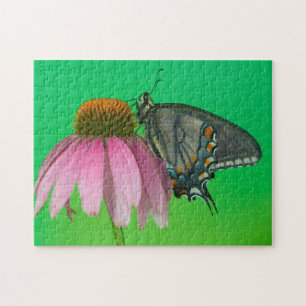 Puzzle Forme noire de Papilio glaucus