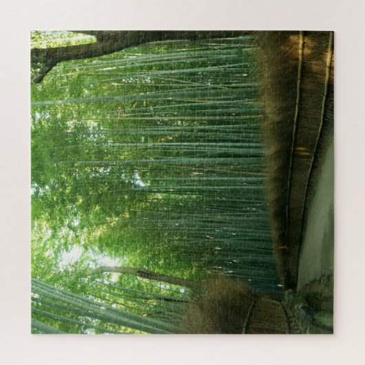 Puzzle Forrest en bambou dans Arashiyama, Sagano, Kyoto, (Vertical)