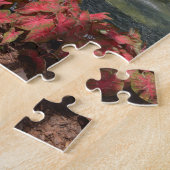 Puzzle Forsyth Park Fontaine Savannah Géorgie Photo (Côté)