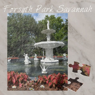 Puzzle Forsyth Park Fontaine Savannah Géorgie Photo