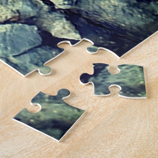 Puzzle Fossile (Côté)