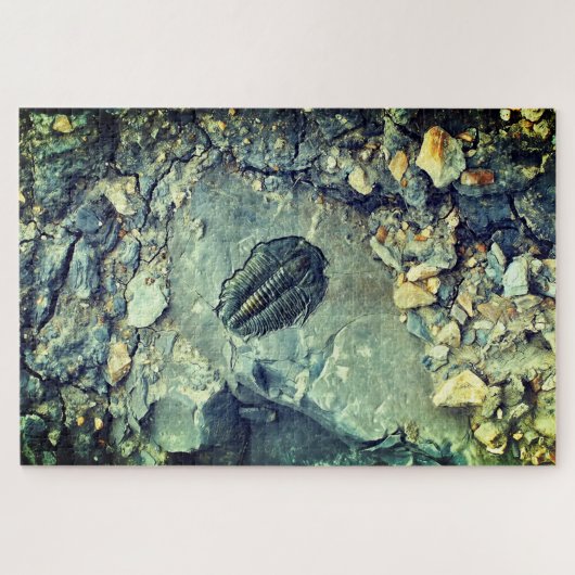 Puzzle Fossile (Horizontal)