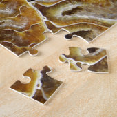 Puzzle fossile crustacéen (Côté)