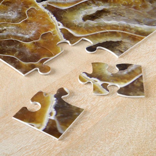 Puzzle fossile crustacéen (Côté)