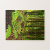 Puzzle Fougères dans la forêt (Horizontal)