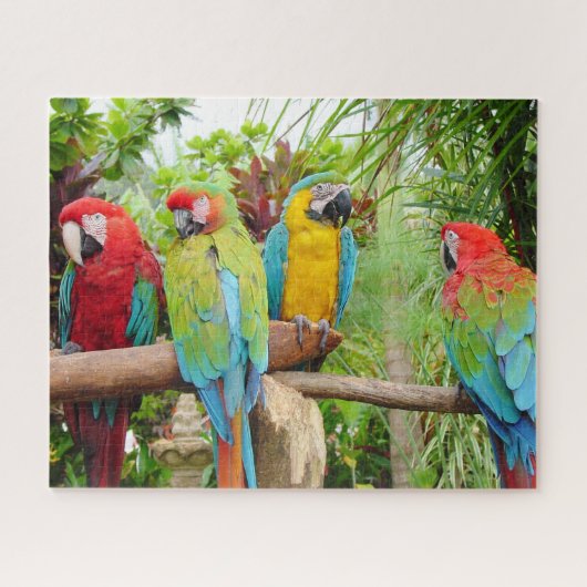 Puzzle Foule de perroquets macaw colorés (Horizontal)
