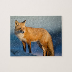 Puzzle Fox Brown