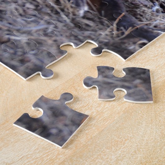 Puzzle Fox dans Sunlight (Côté)