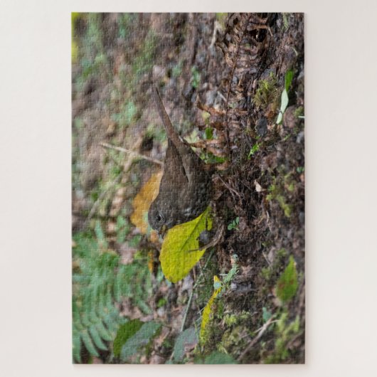 Puzzle Fox Sparrow (Vertical)