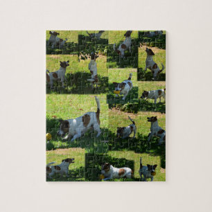 Puzzle Fox Terrier, Le Jour Difficile,