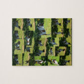 Puzzle Fox Terrier, The Hard Day, Photo Collage, (Horizontal)