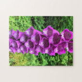 Puzzle Foxglove Flowers, Oregon (Horizontal)
