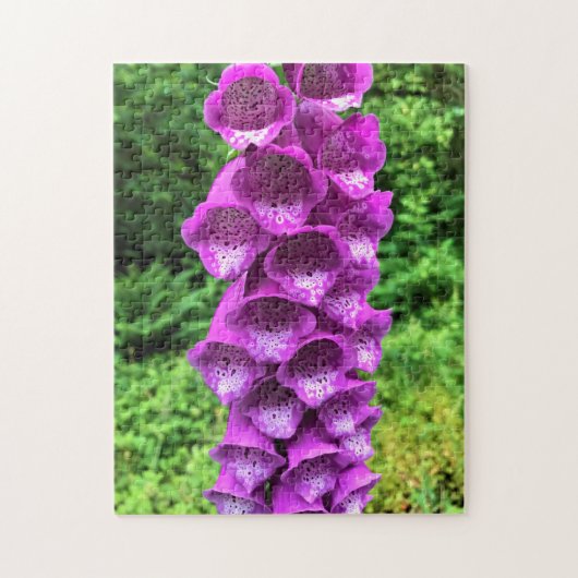 Puzzle Foxglove Flowers, Oregon (Vertical)