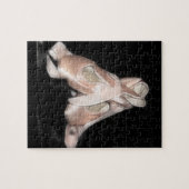 Puzzle Fractale de chaussures de ballet (Horizontal)