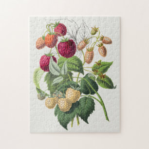 Puzzle Fraise vintage