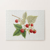 Puzzle Framboises rouges (Rubus Xnégligectus) Peinture au (Horizontal)