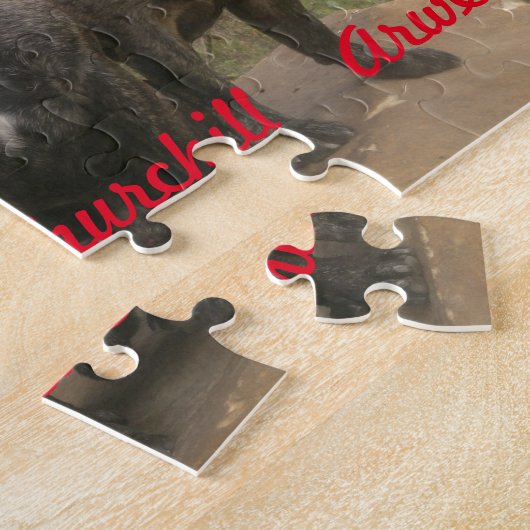 Puzzle Français et carlins (Côté)