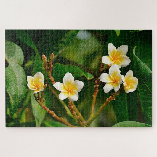 Puzzle Frangipani jaune (Horizontal)