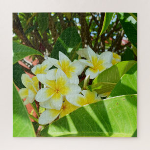 Puzzle Frangipanis Jaune Cultivant Sur Un Arbre,