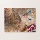Puzzle Frankie (Horizontal)