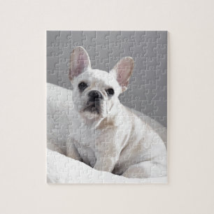 Puzzle Frenchie crème