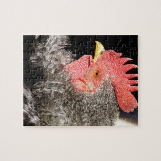Puzzle Frizzle Rooster (Horizontal)