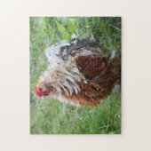 Puzzle Frizzle Sizzle Fluffy Rooster dans l'herbe (Vertical)