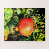 Puzzle Fruit de grenade (Horizontal)
