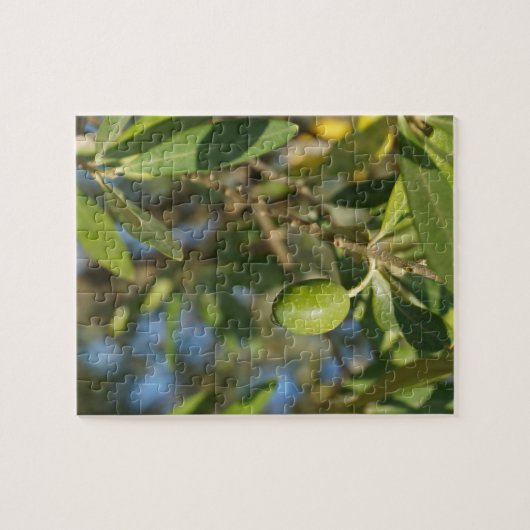 Puzzle fruit d'olive (Horizontal)