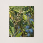 Puzzle fruit d'olive (Vertical)